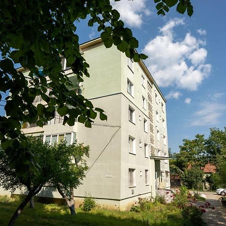 Nya Apartment Sighisoara Exterior photo